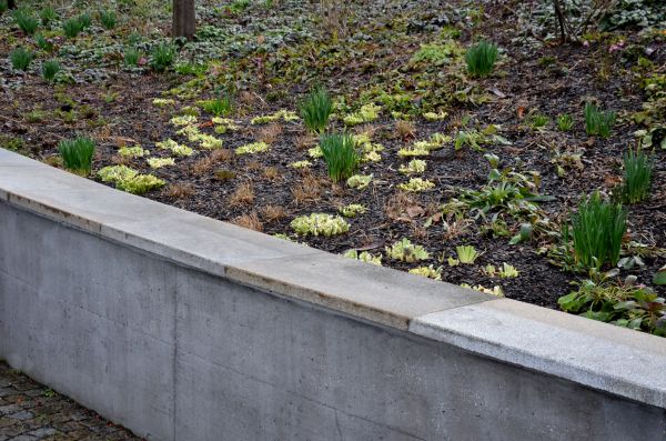 Cost of Concrete Wall Construction in Bronx