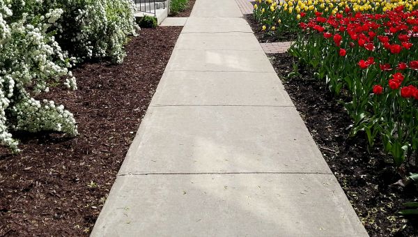 Cost of Cement Sidewalk Installation in Bronx