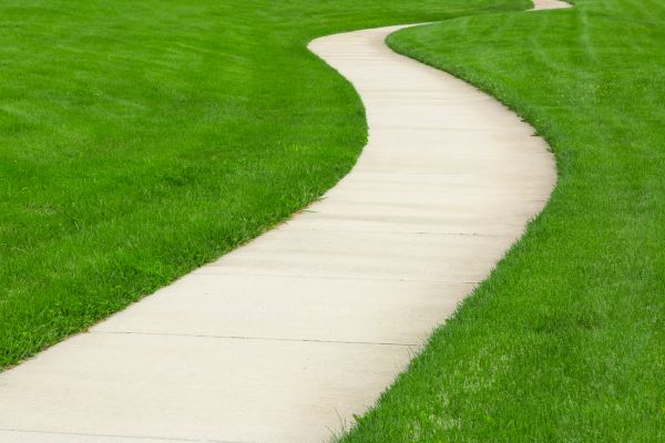 Cost of Walkway Building in Bronx